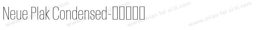 Neue Plak Condensed字体转换